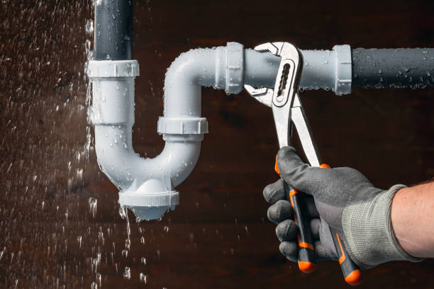 Professional Plumbing technician working in Leo, IN